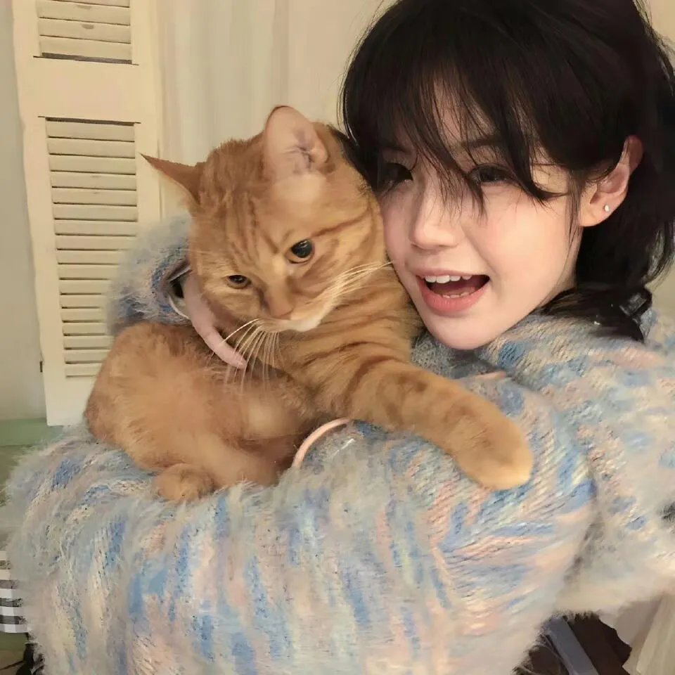 洞1960